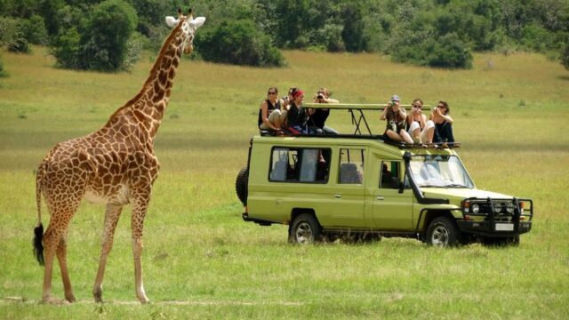 Golden Trips Tanzania Safari Tours