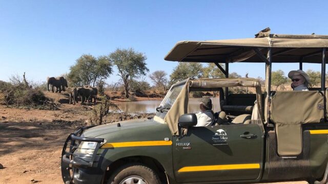 Photo-Kruger-1