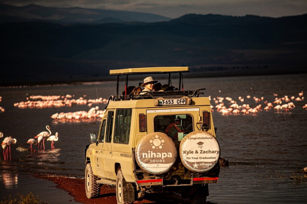 day-trip-ngorongoro-crater-nihapa-tours-min