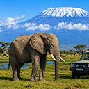 amboseli-3-3-1